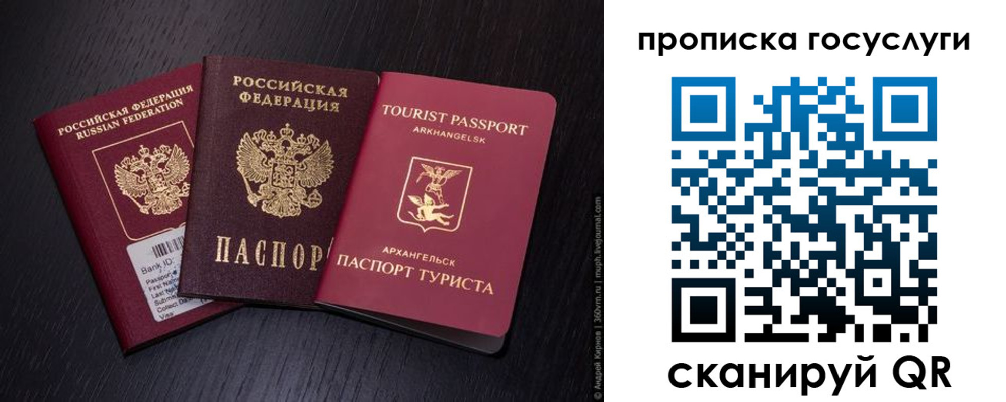 прописка 2025 в Судогде